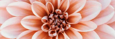 仙特香氛 Scenter